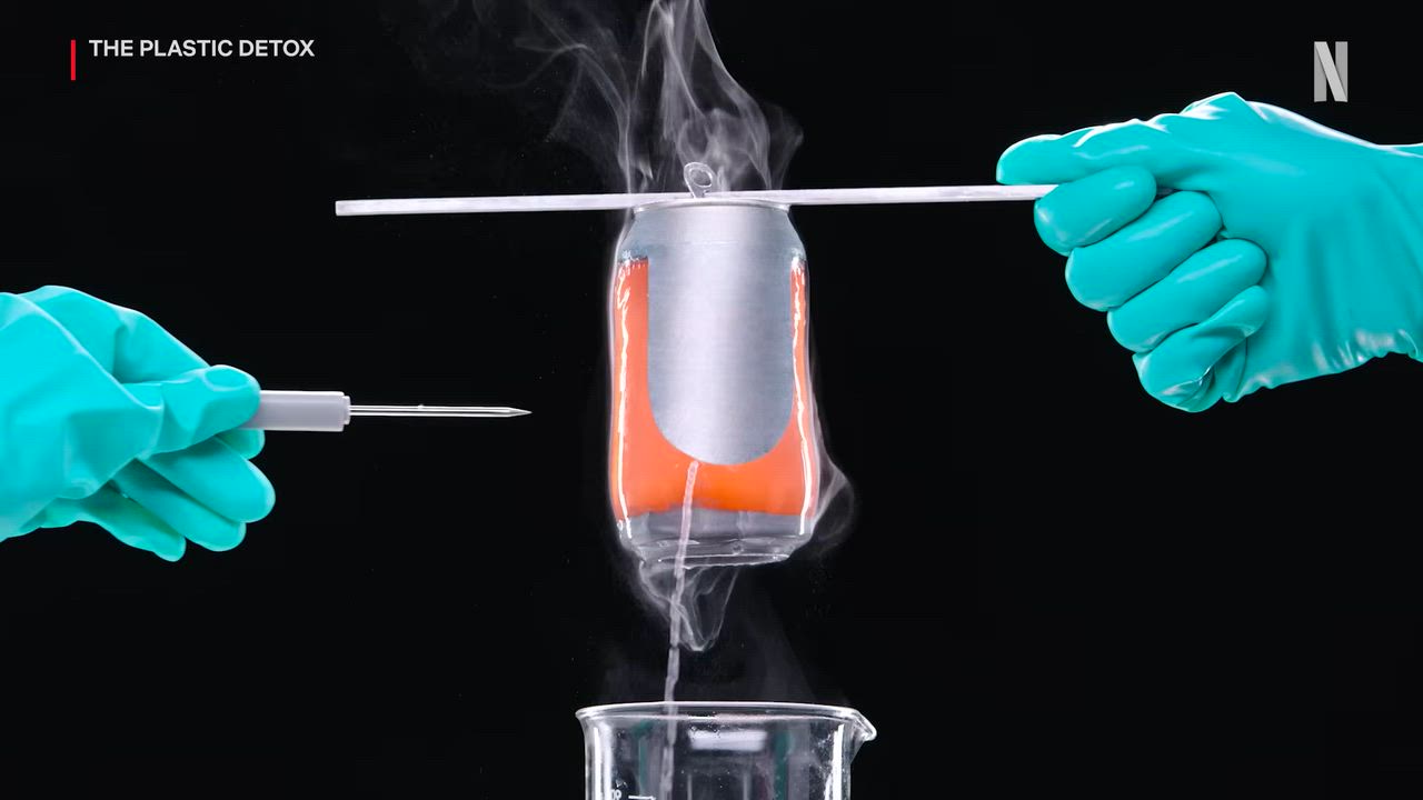 The Plastic Detox 2026 Movie Review